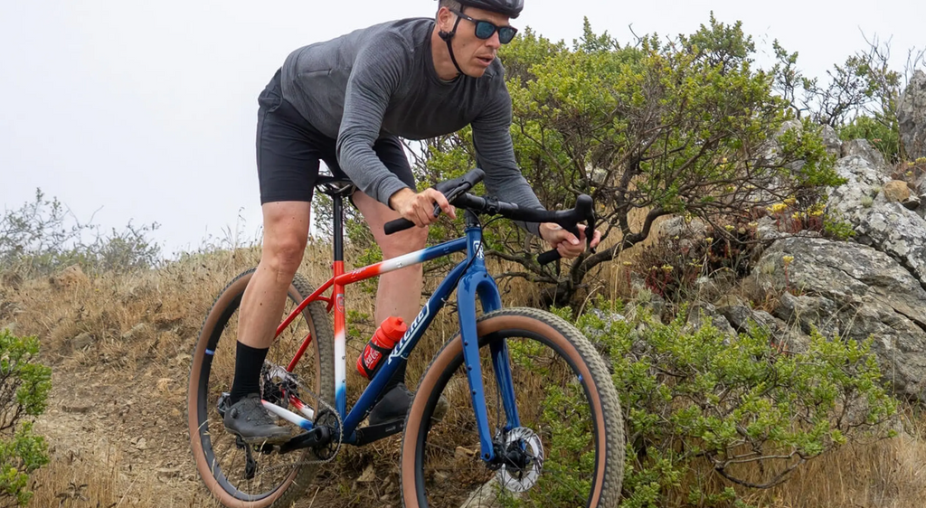 CADRE RITCHEY P-29er TEAM EDITION