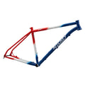 CADRE RITCHEY P-29er TEAM EDITION